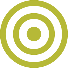 Mision vector