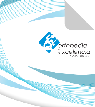 pdf vector